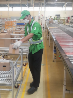 Packing & Vanning Operation